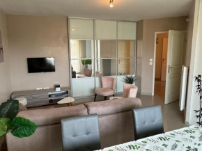 Appartement Moderne près de la Plage et du Centre - 2 Chambres, Balcon, Parking, Animaux Acceptés - FR-1-487-363